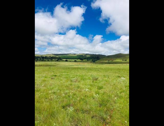 LAND FOR SALE IN MACHADODORP RURAL